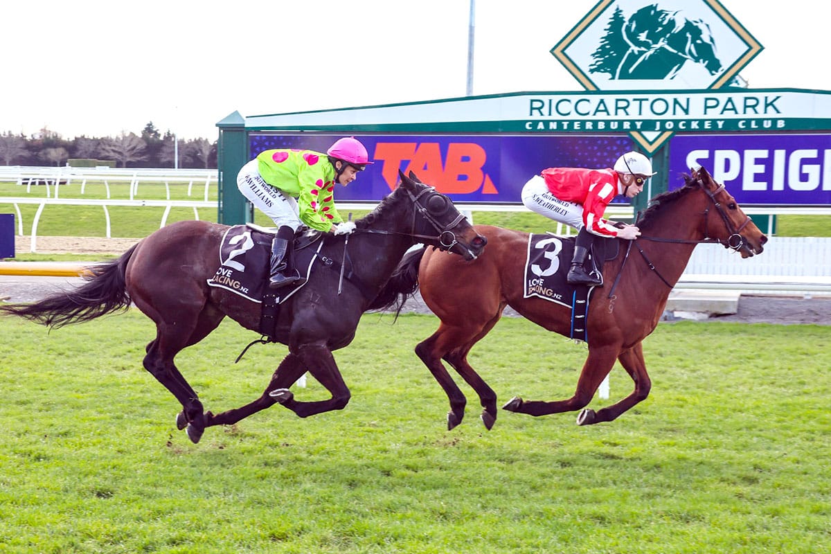 Mystic Park makes an impressive return