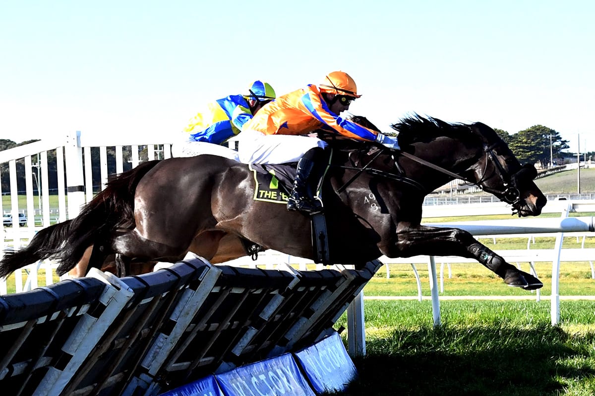 Walker a massive jumps racing fan