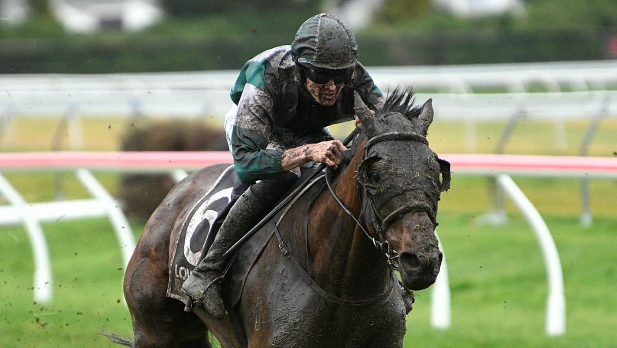 Cameron’s stayer Raajoices heavy conditions