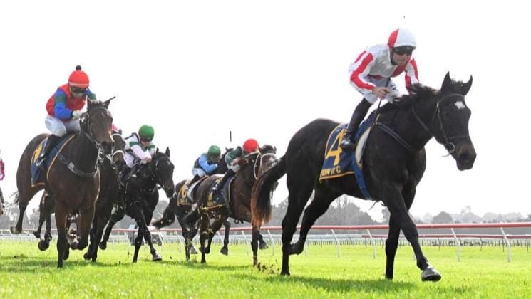 All roads lead to the Derby for Guineas hope