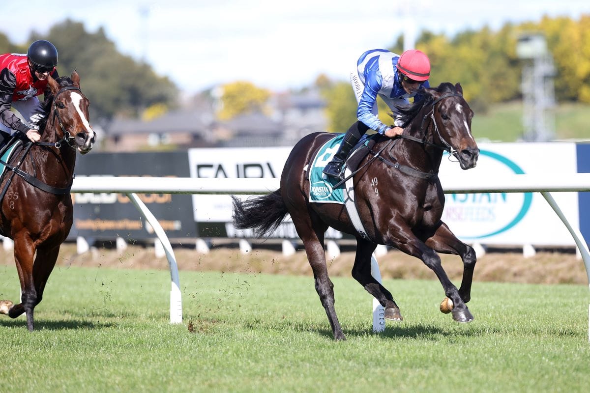 Plenty of smiles after Te Rapa trial