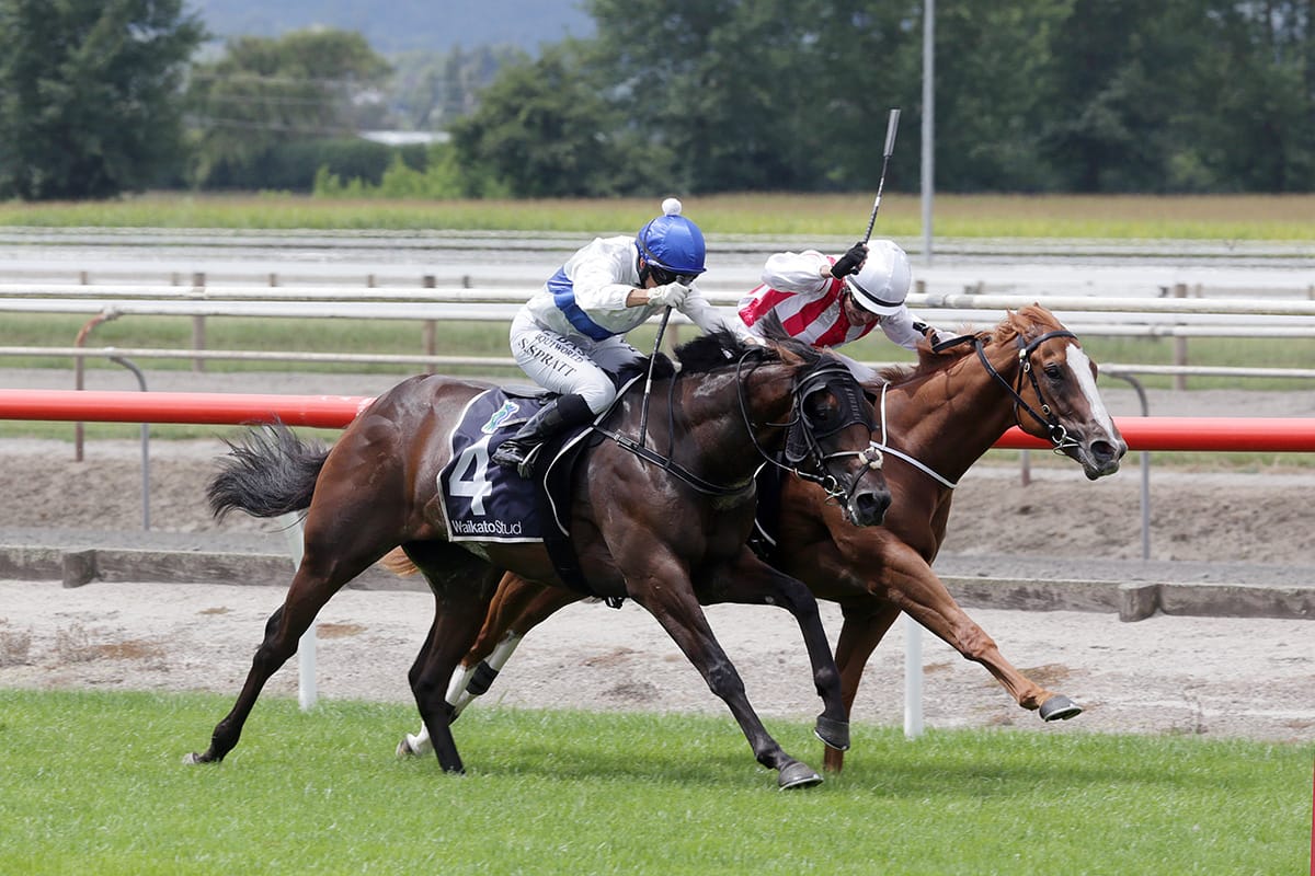 Savaglee makes a perfect start at Taupo