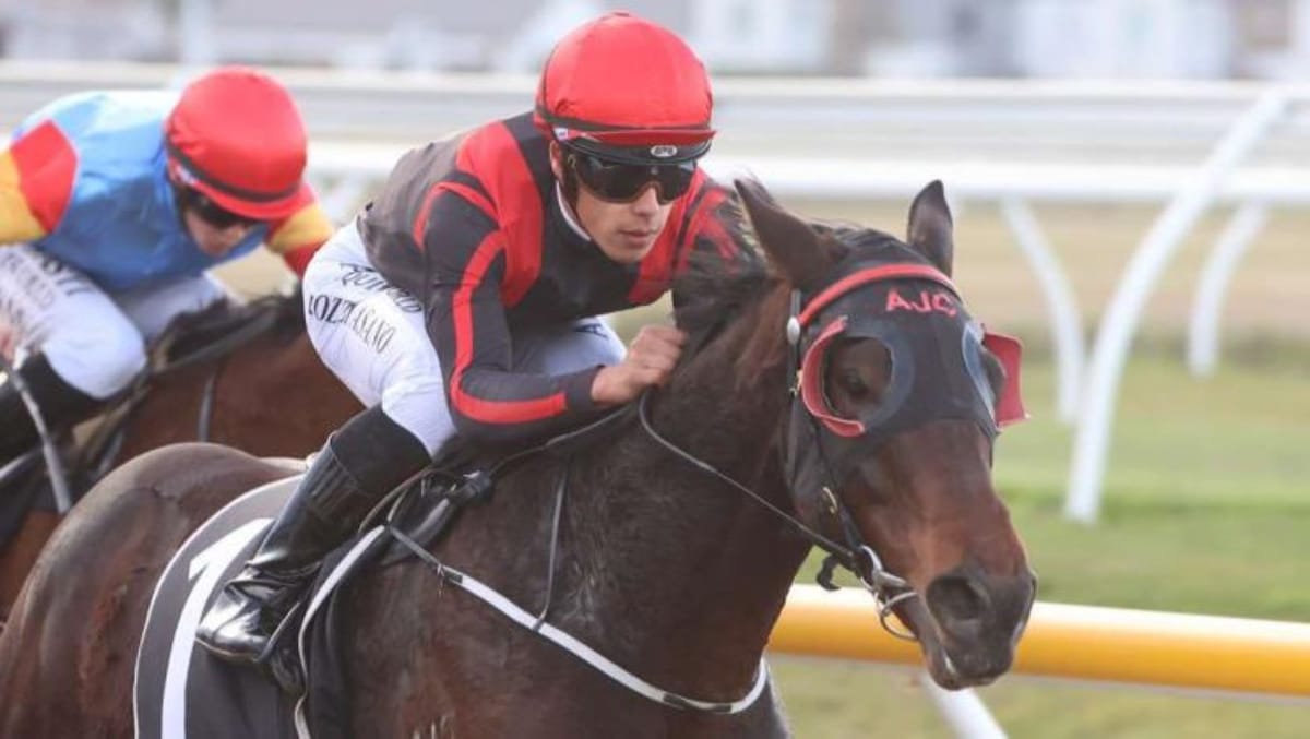 Carston tackling domestic features on synthetic