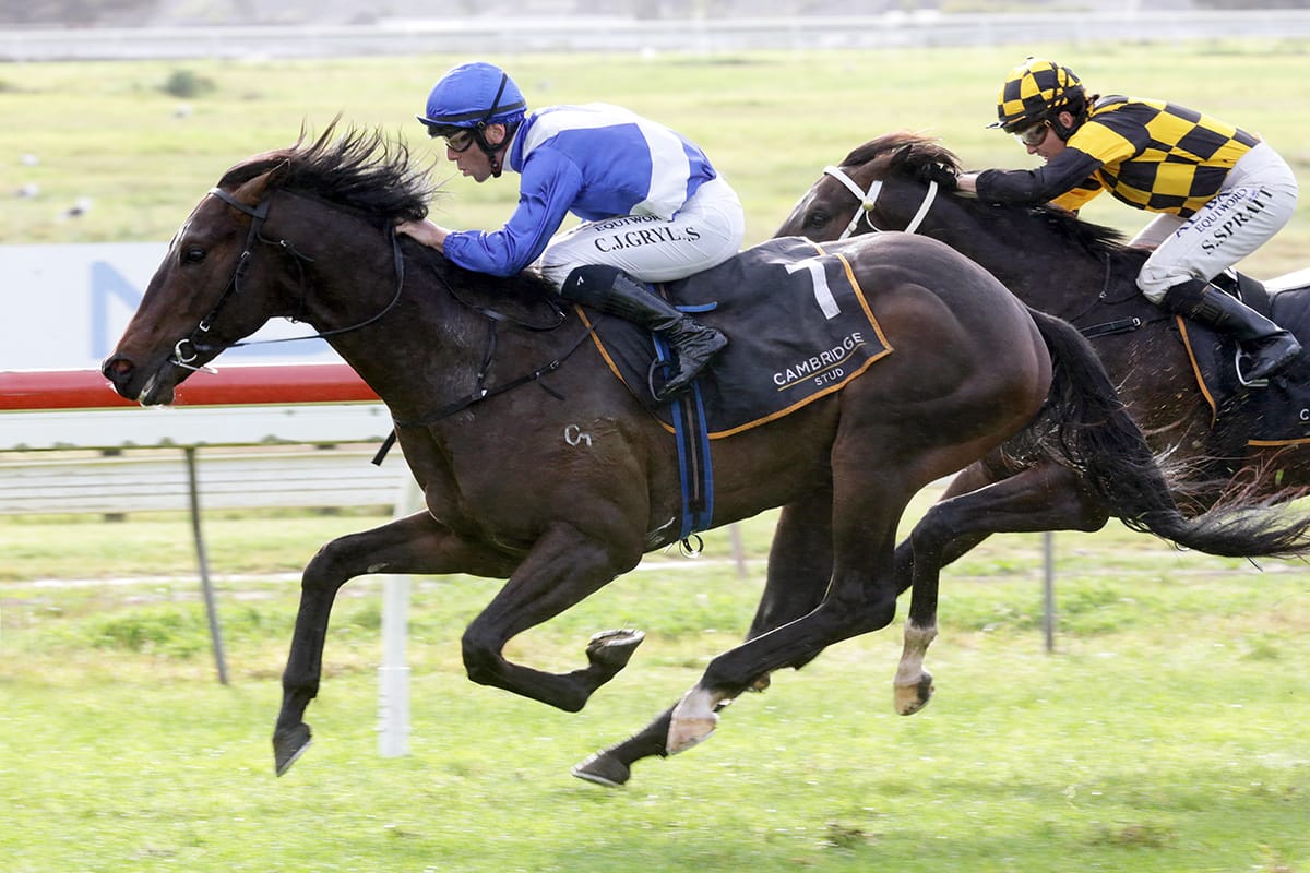 Oaks Stud hoping So Naive can fly Group One flag