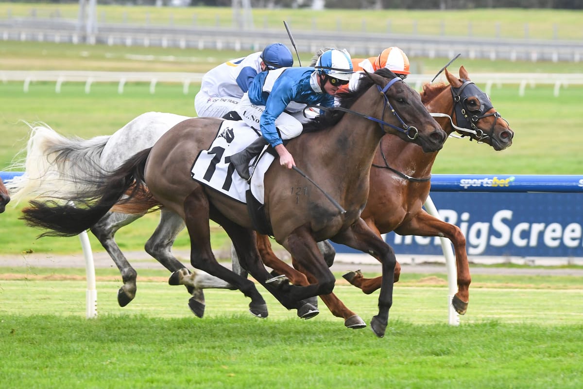 Nolan and Nolen combine at Sandown