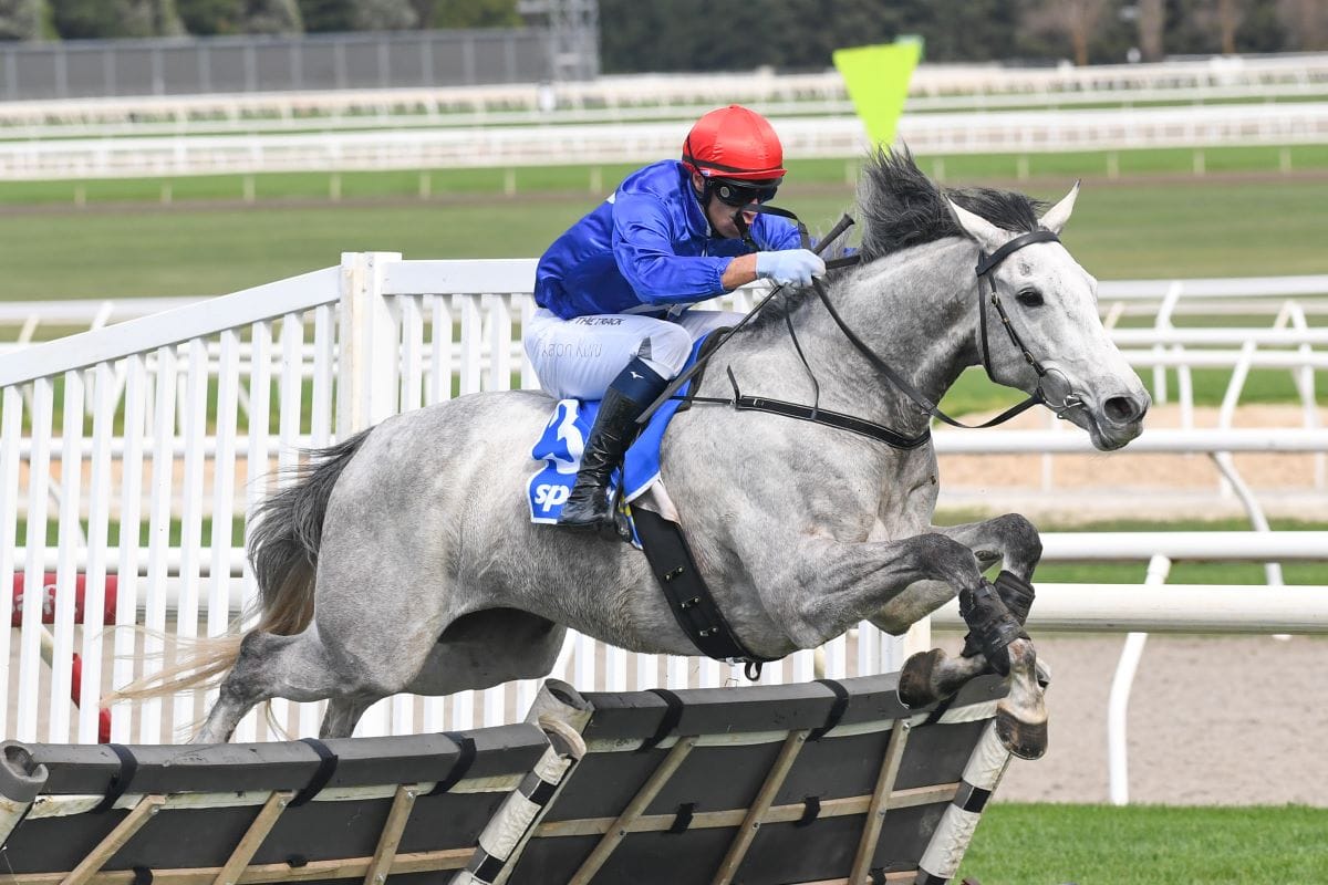 Cunning Fox stays unbeaten over hurdles