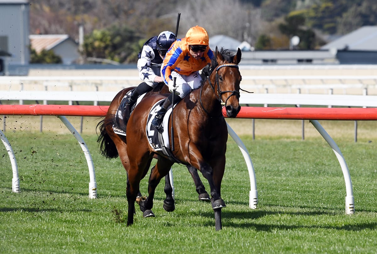 Te Akau Racing strike in two-year-old opener with To Bravery Born