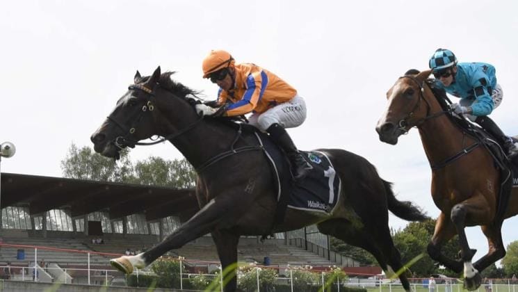 Unbridled Joy heading to Wanganui Guineas