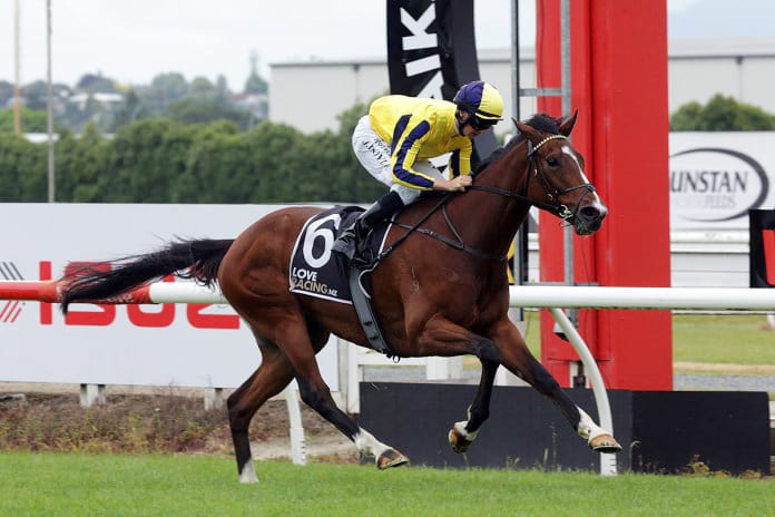 Waitak carries Wexford hopes in Foxbridge.