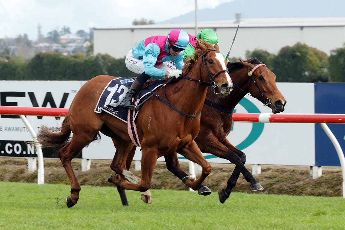Whiskey ‘N Roses contender for higher honors after Te Rapa win