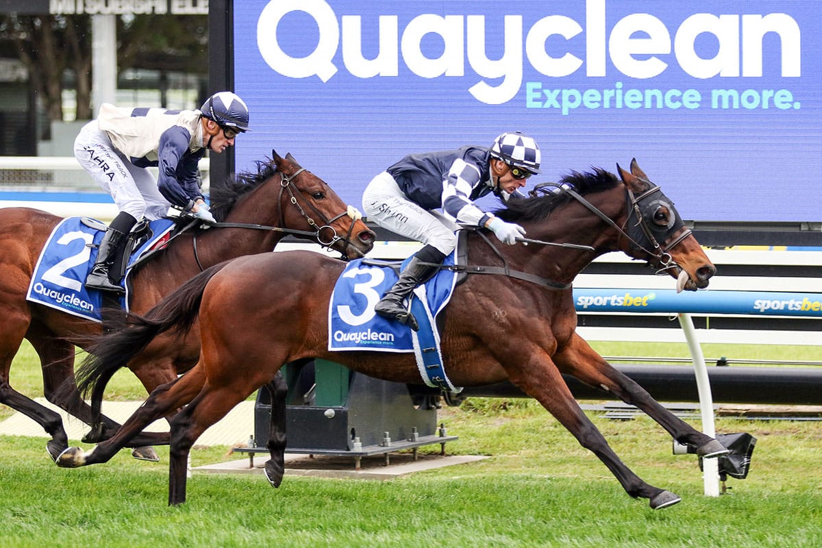 Third Turnbull tilt on cards for Young Werther