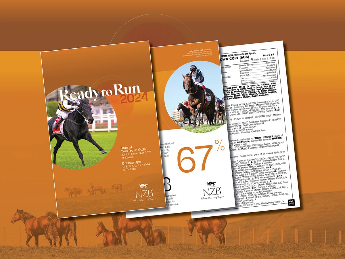 Catalogue Live for NZB’s 2024 Ready to Run Sale