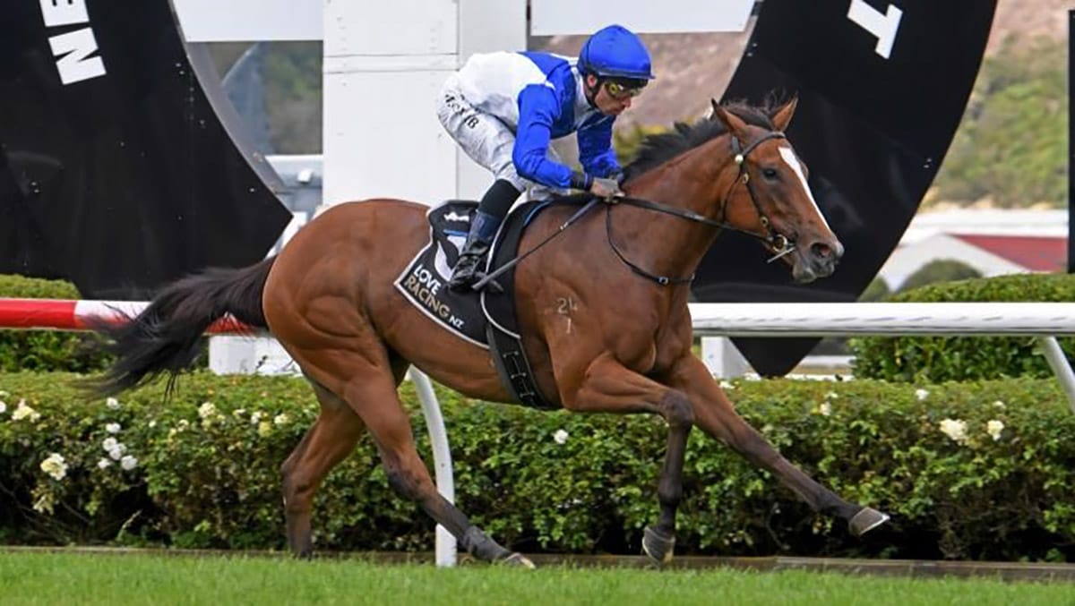 Quality filly is ready for Gold Trail challenge