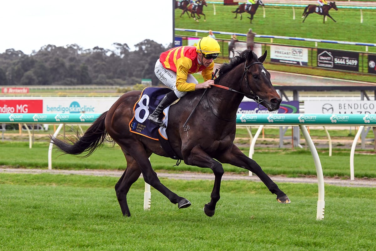 Aussie trainers chasing a NZB Kiwi slot