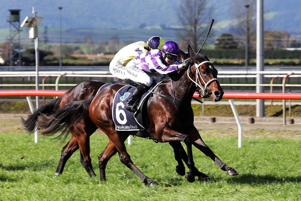 Talented mare back to best range at Matamata