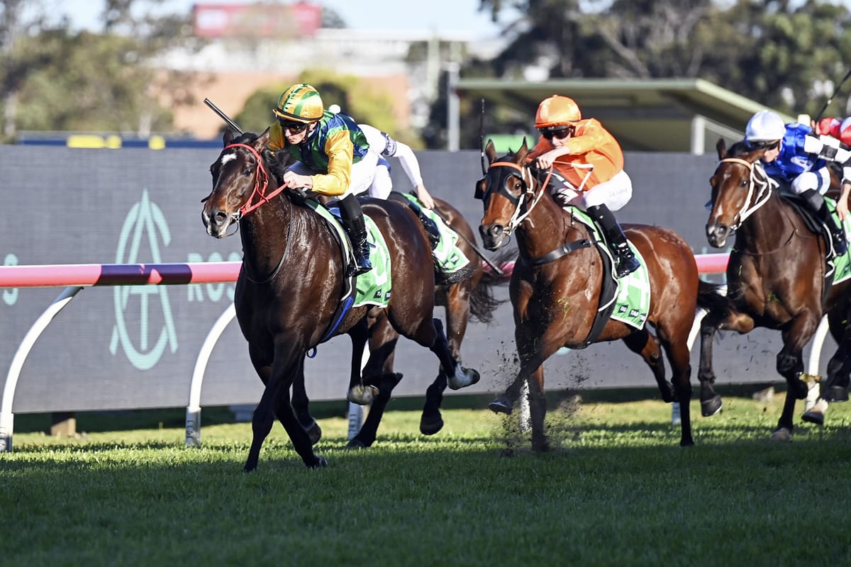 Multitude of options for exciting Ceolwulf