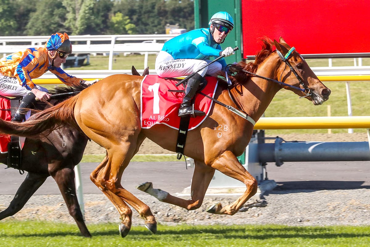  Four-year-old star all the rage in Tarzino