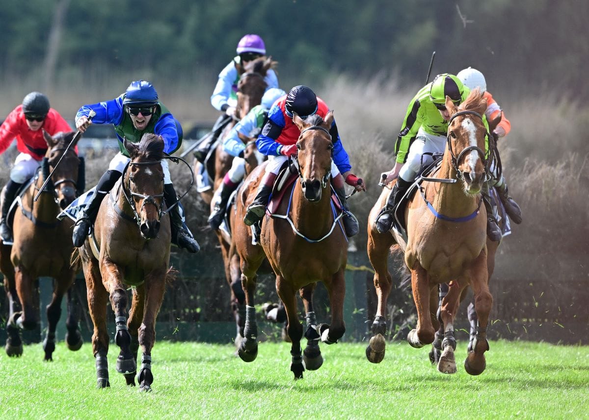 Fannin in full flight at Woodville