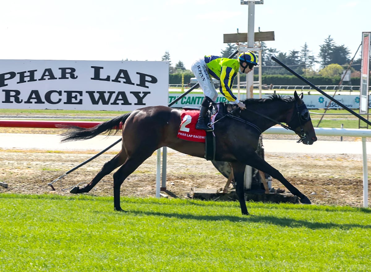 Donna Chiara to classy in Timaru success 