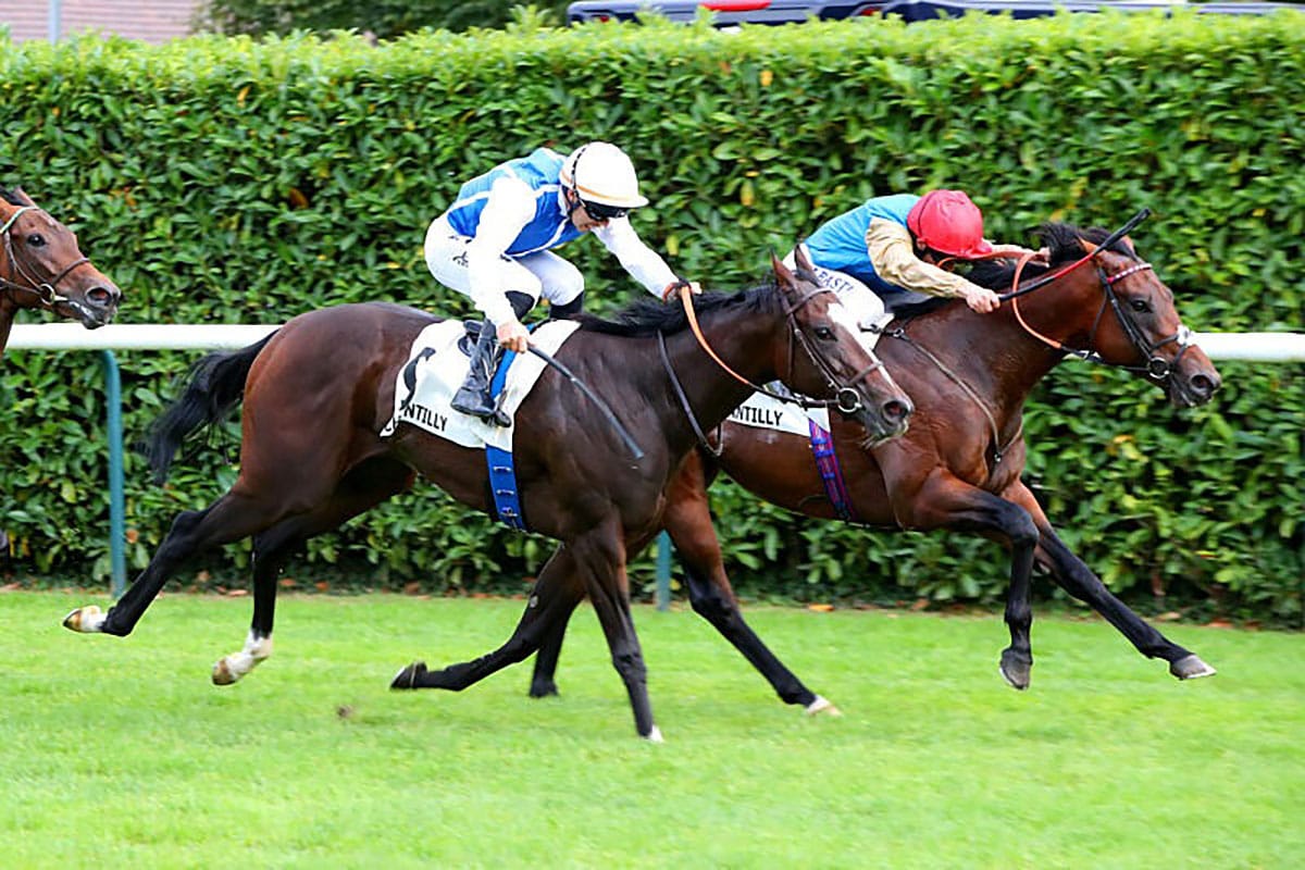 Hello Youmzain doubles European Group tally