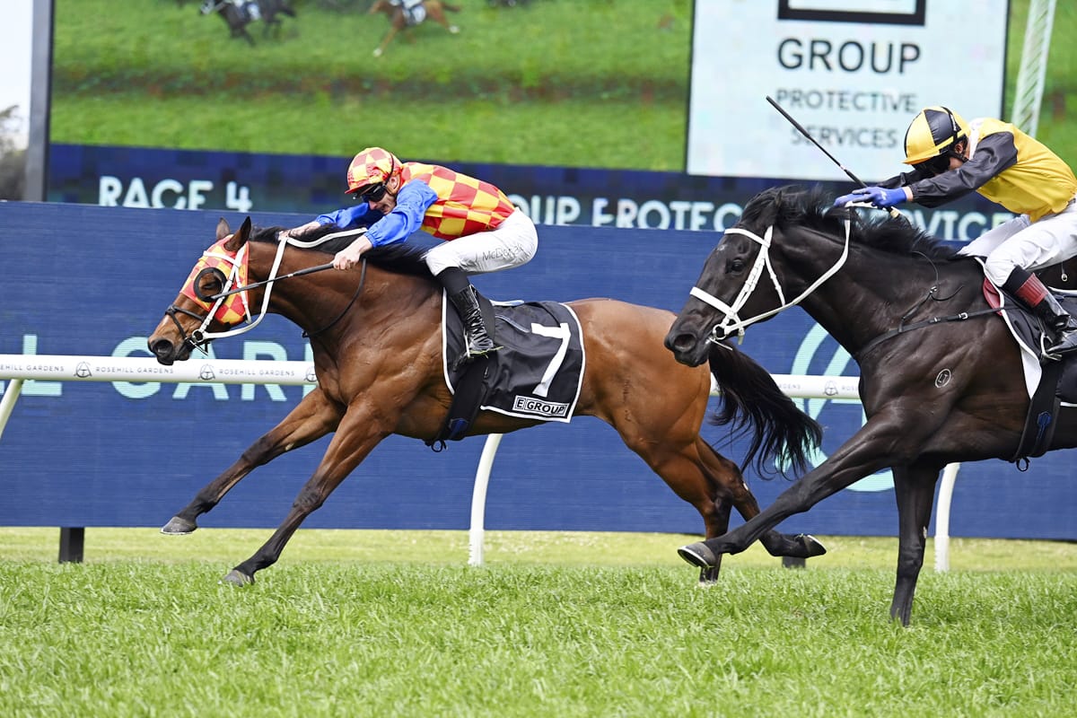 Firestorm heads Kiwi-bred trifecta