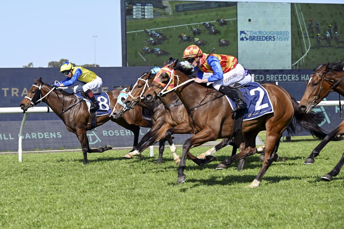 Firestorm shines on four-year-old debut