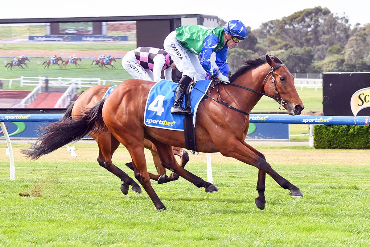 Giddy Up Warrior a ‘sneaky’ Derby prospect