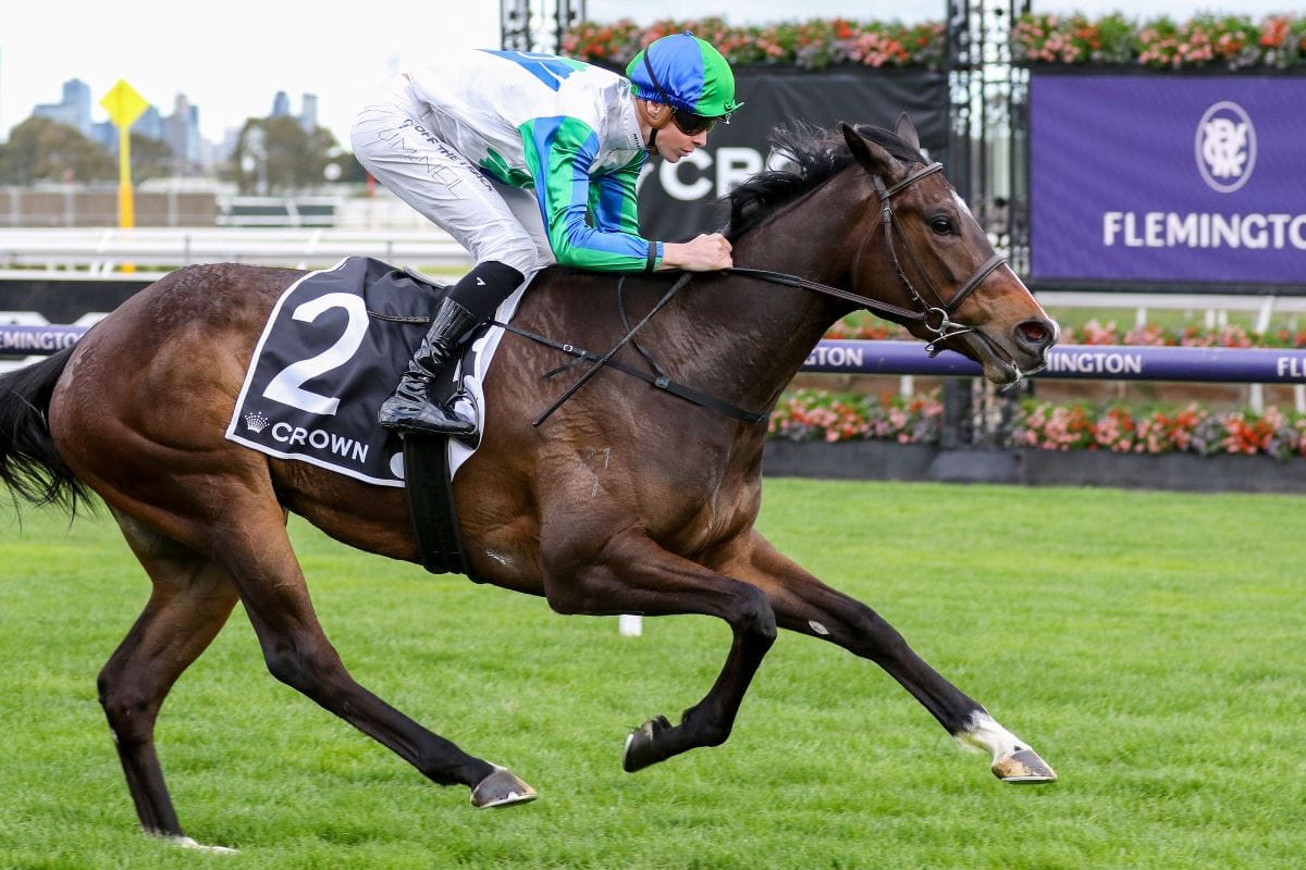 O'Brien filly in a Hurry