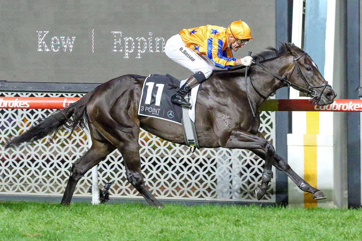 Star mare Imperatriz crowned Horse of the Year