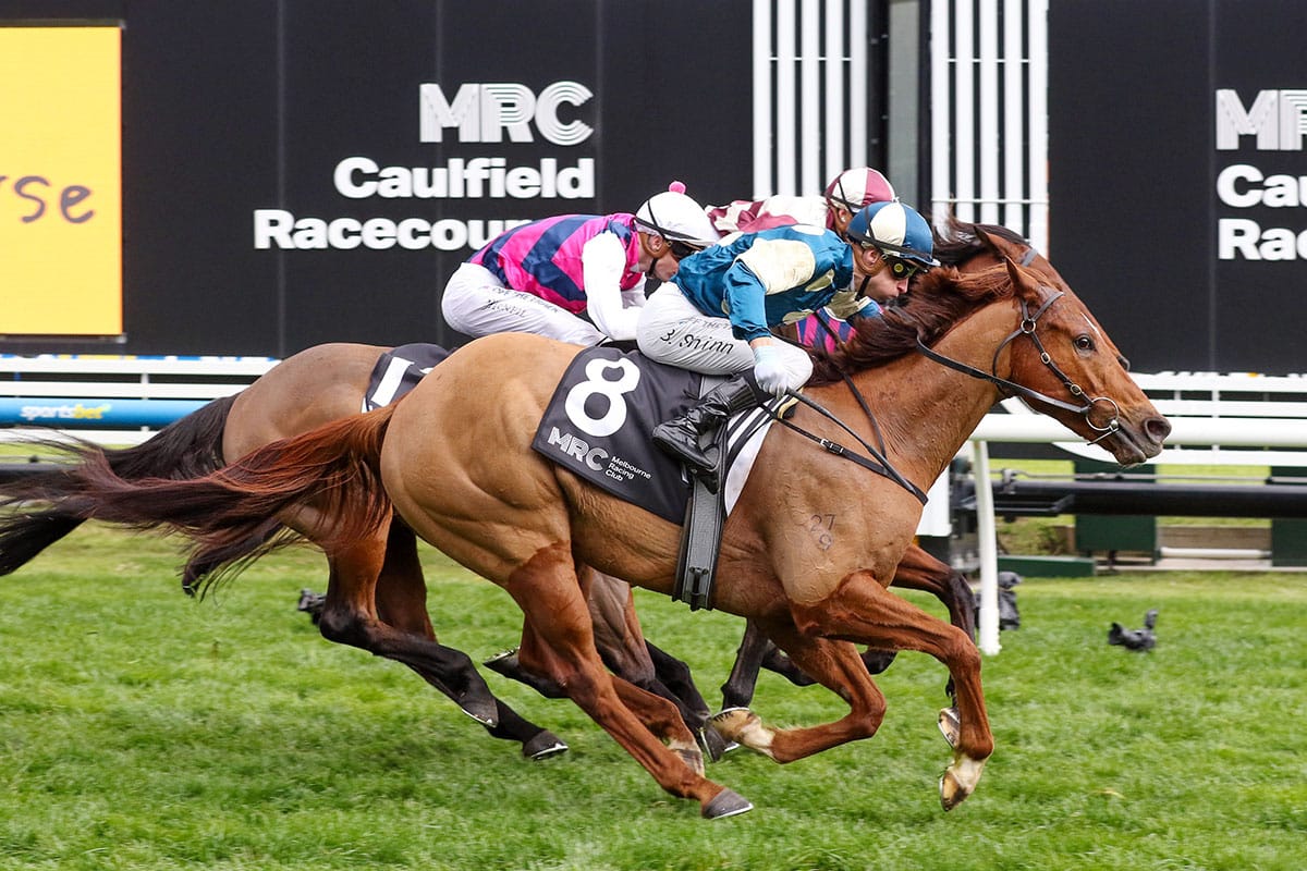 Jimmysstar back on song at Caulfield