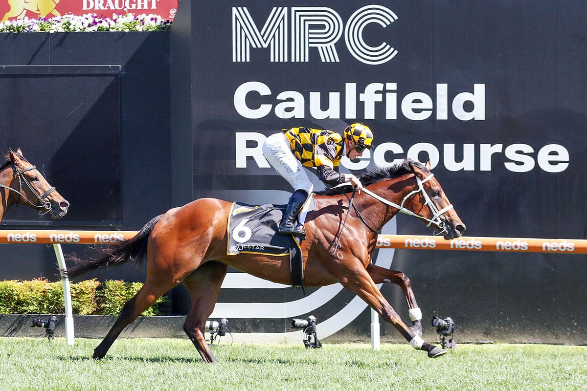 Joliestar could be racing for the outright Everest favouritism