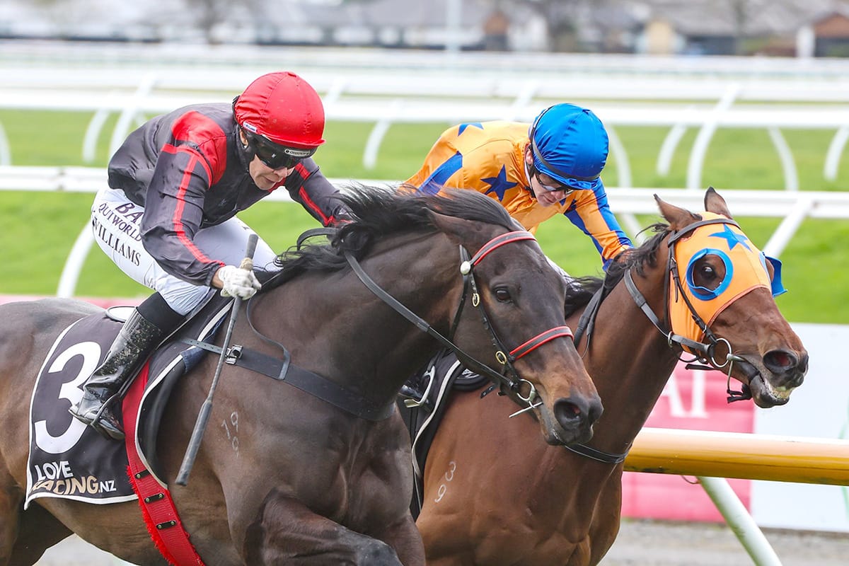 Jon Ol Rocco back in winning groove