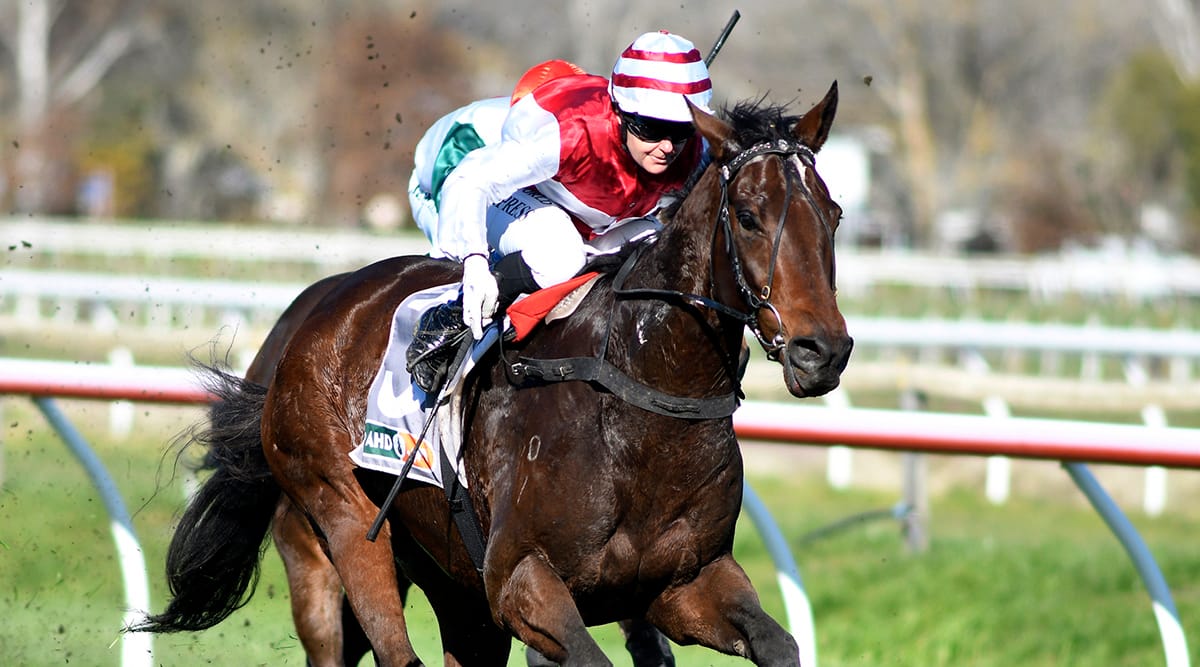 Stablemates are out to boost Group One hopes