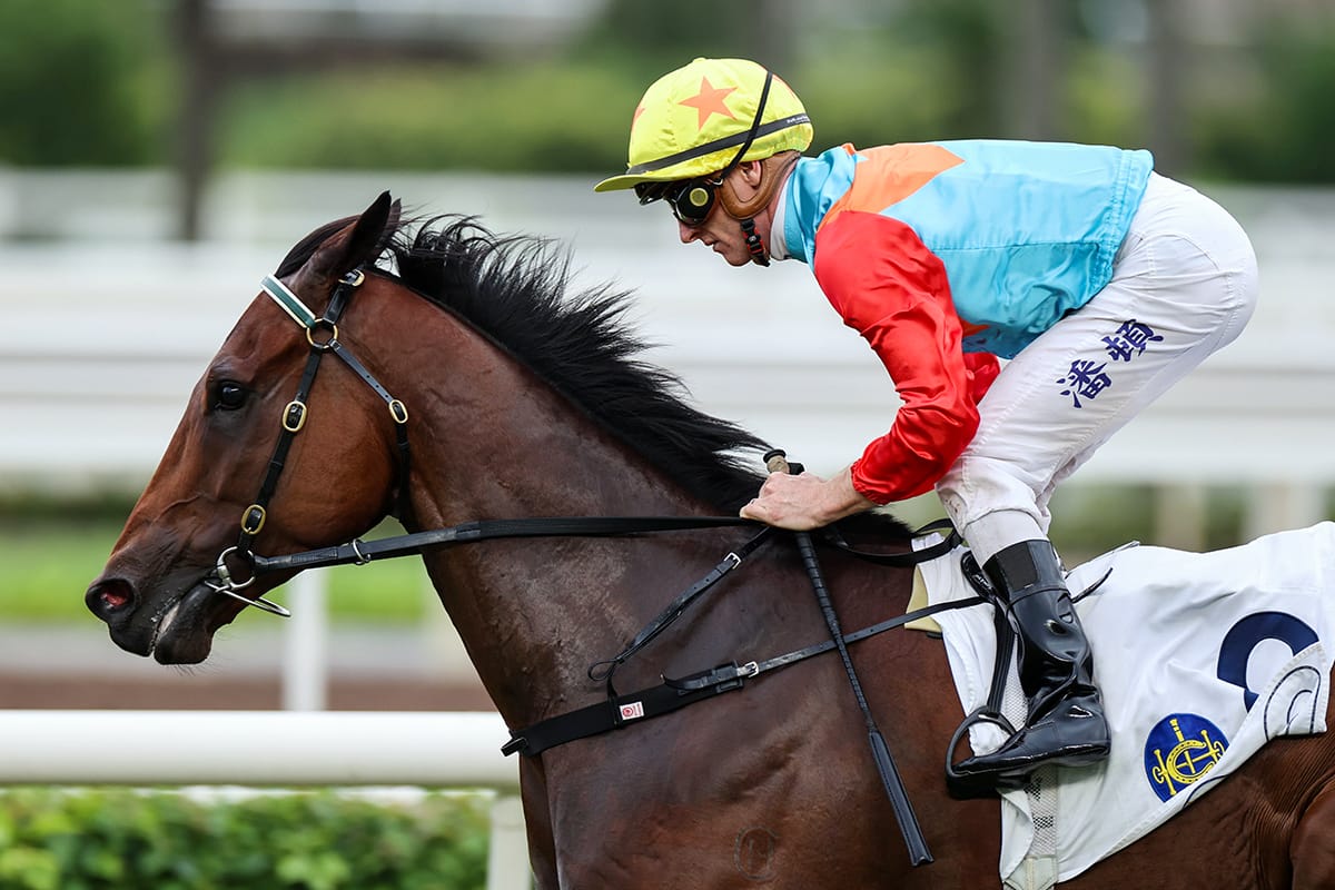David Hayes has Group 1 aspirations for Ka Ying Rising