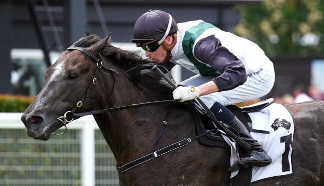 Blue Diamond winner is retired