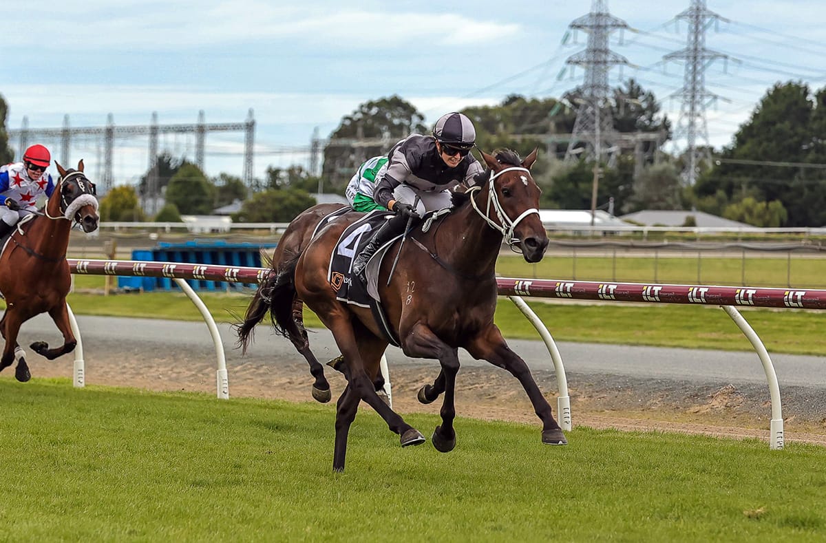 Oamaru kick-off for New Zealand Cup contender Lochnaberry