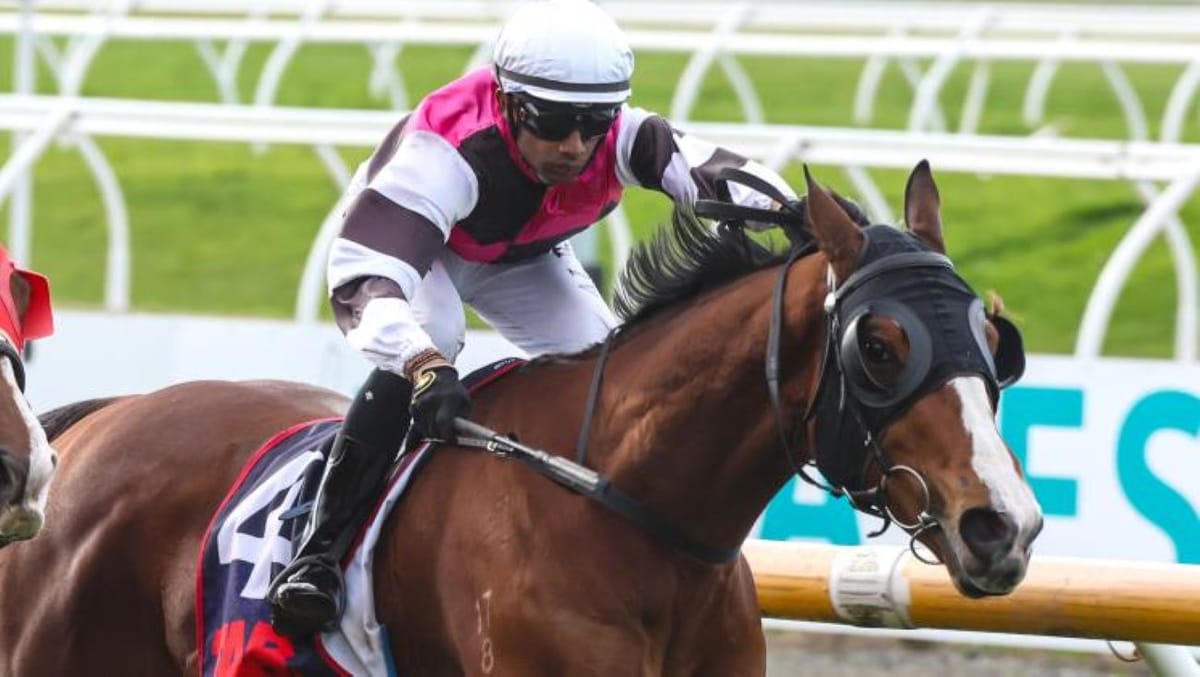 Master Marko takes Riccarton feature