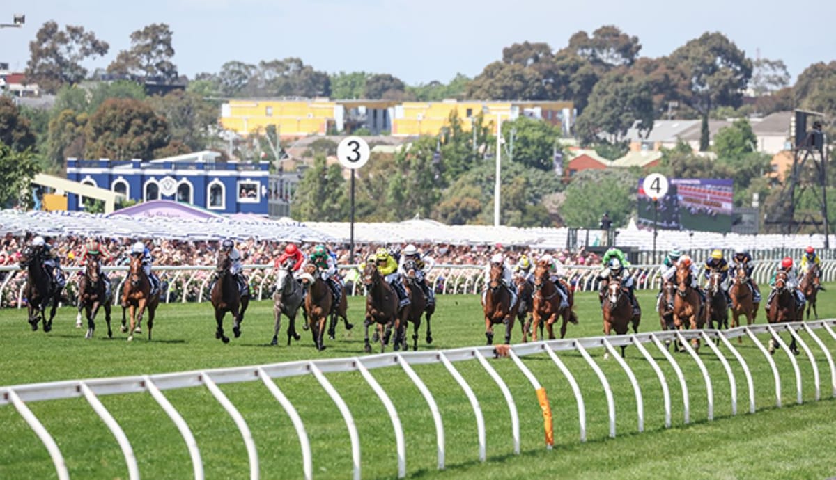 VRC adds Cup Day feature