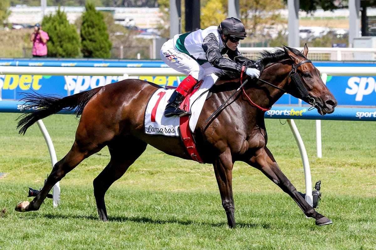 Mr Brightside is right to go in Feehan