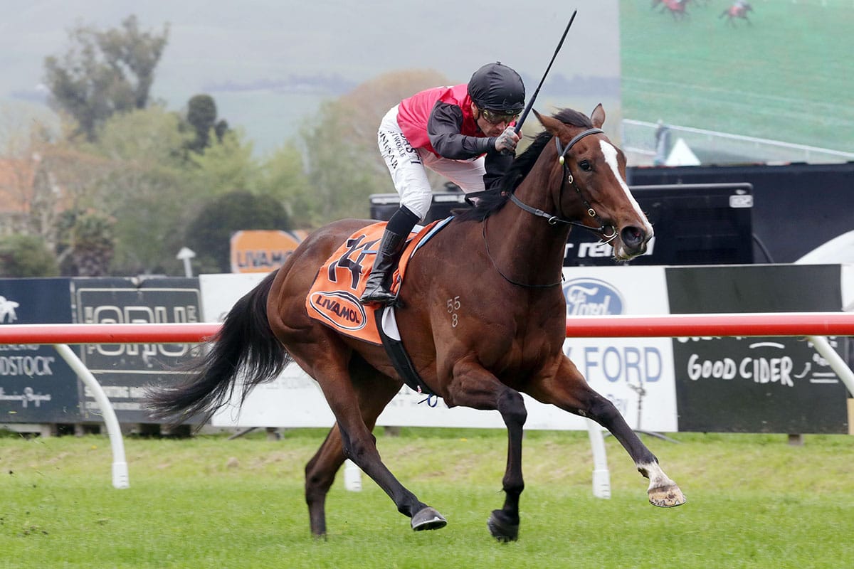 Mustang Valley not a certainty for Arrowfield