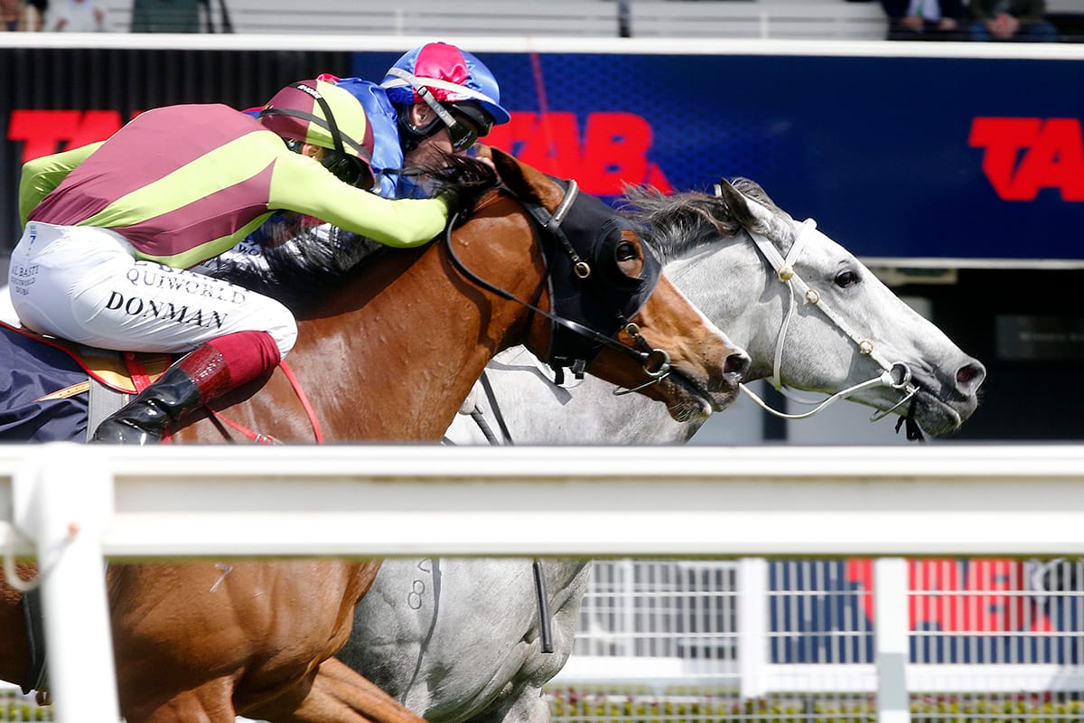 Nest Egg on target for New Zealand Cup