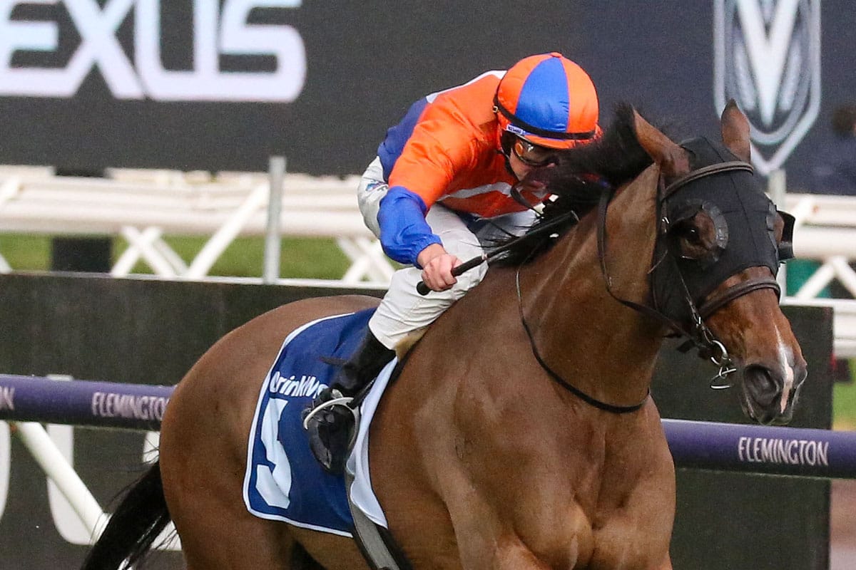 Belle strikes another stakes winning blow