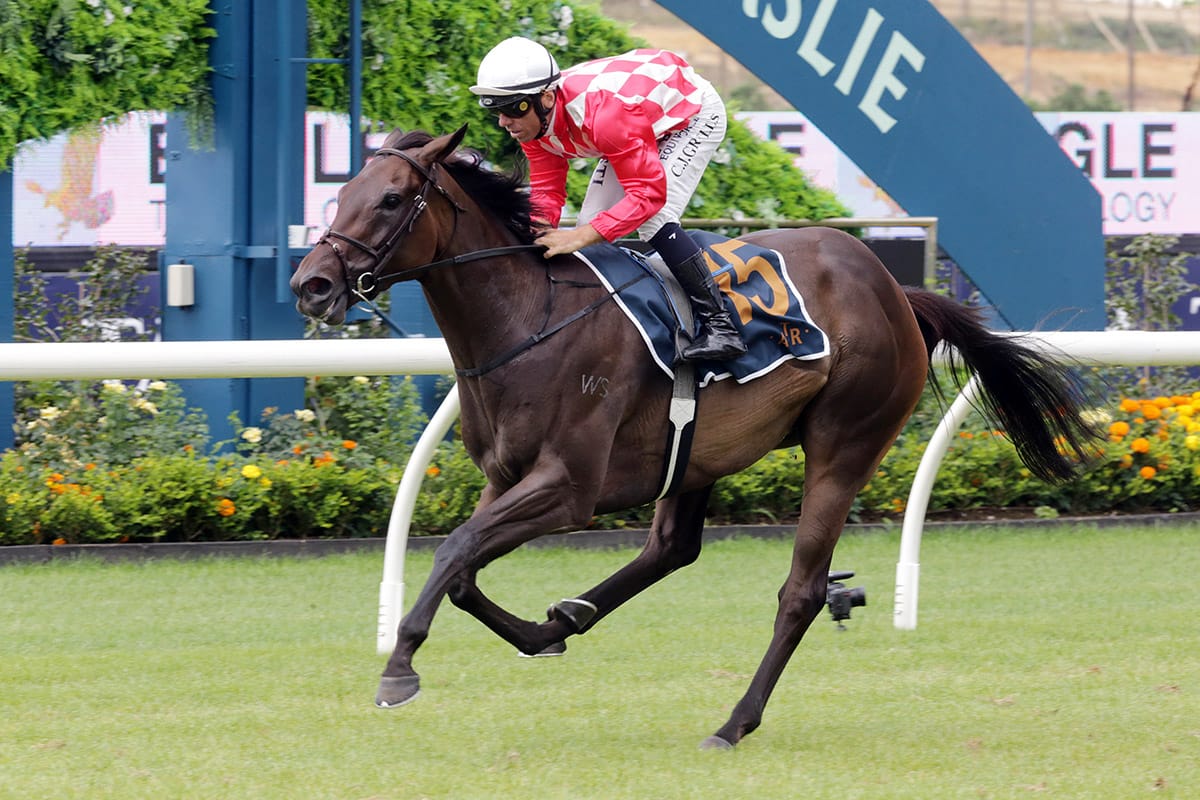 Orchestral on tune for spring campaign