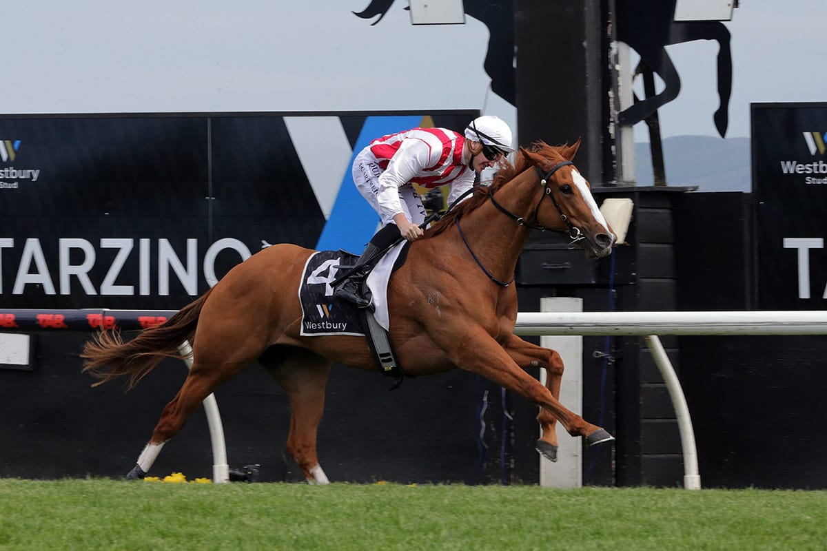 Hastings key to Poetic Champion’s immediate future