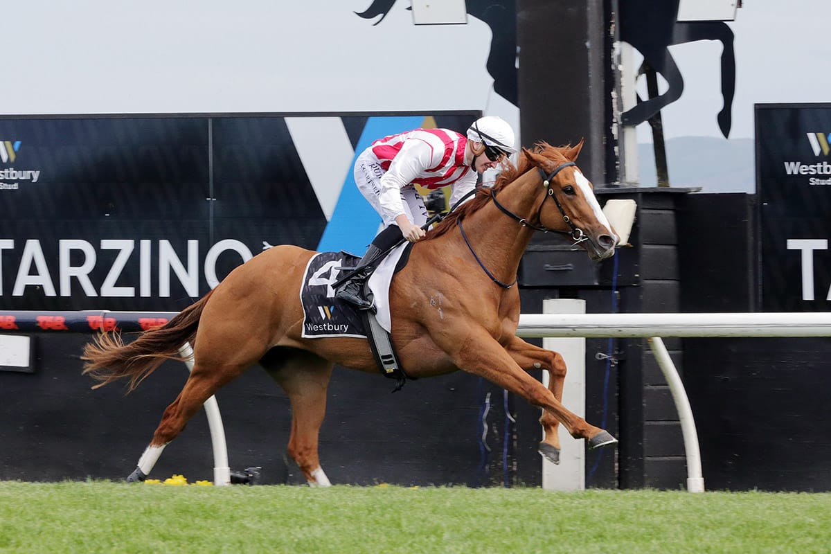 Poetic Champion dominant in three-year-old debut