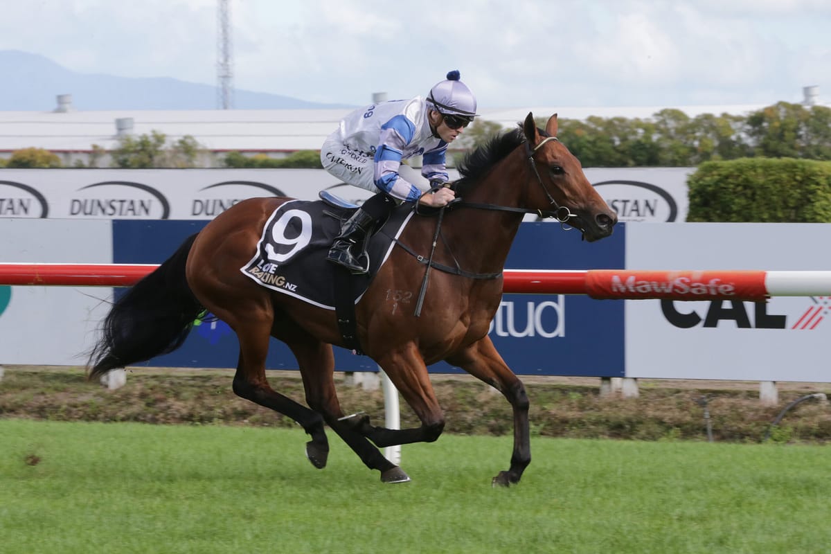 Cole looking to build on strong start at Hastings