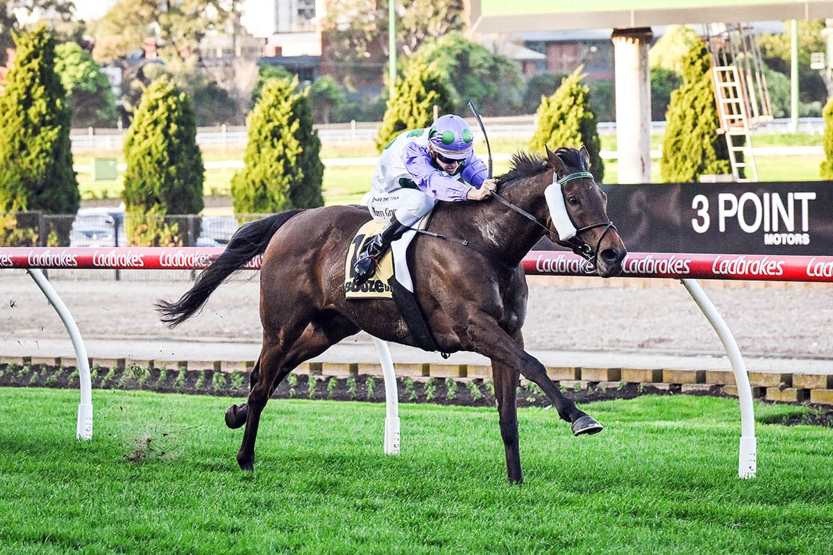 International raider rolling into Hawkes Bay carnival