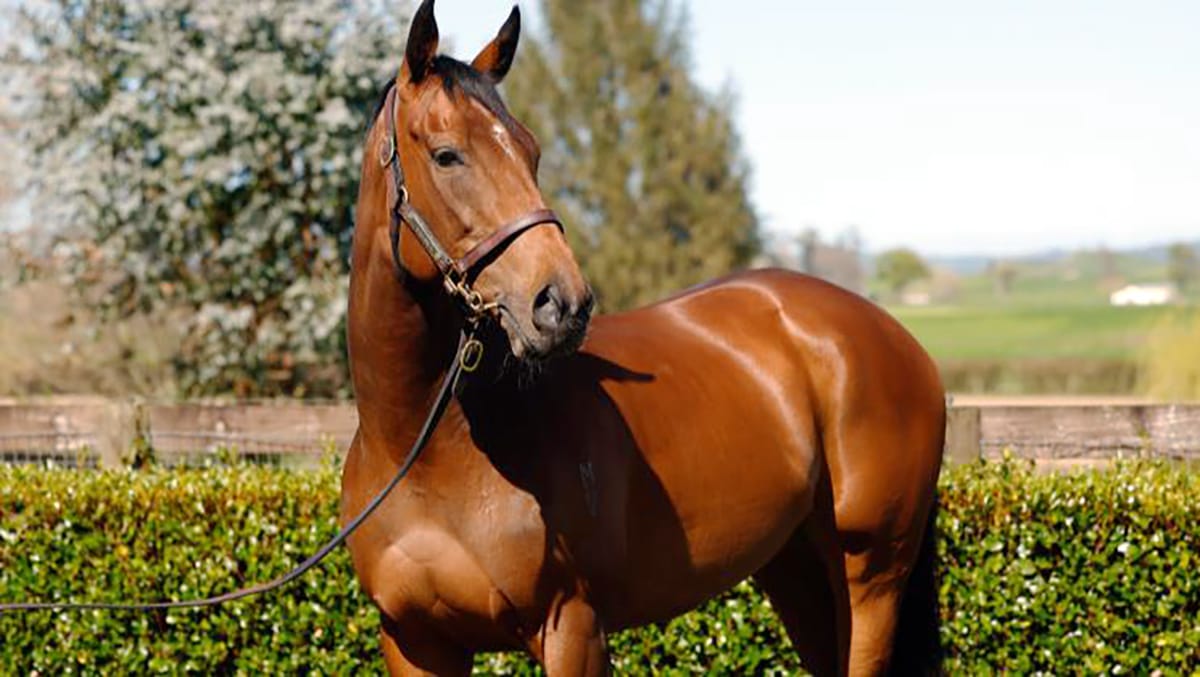 Romancing The Moon to be for sale on Gavelhouse Plus