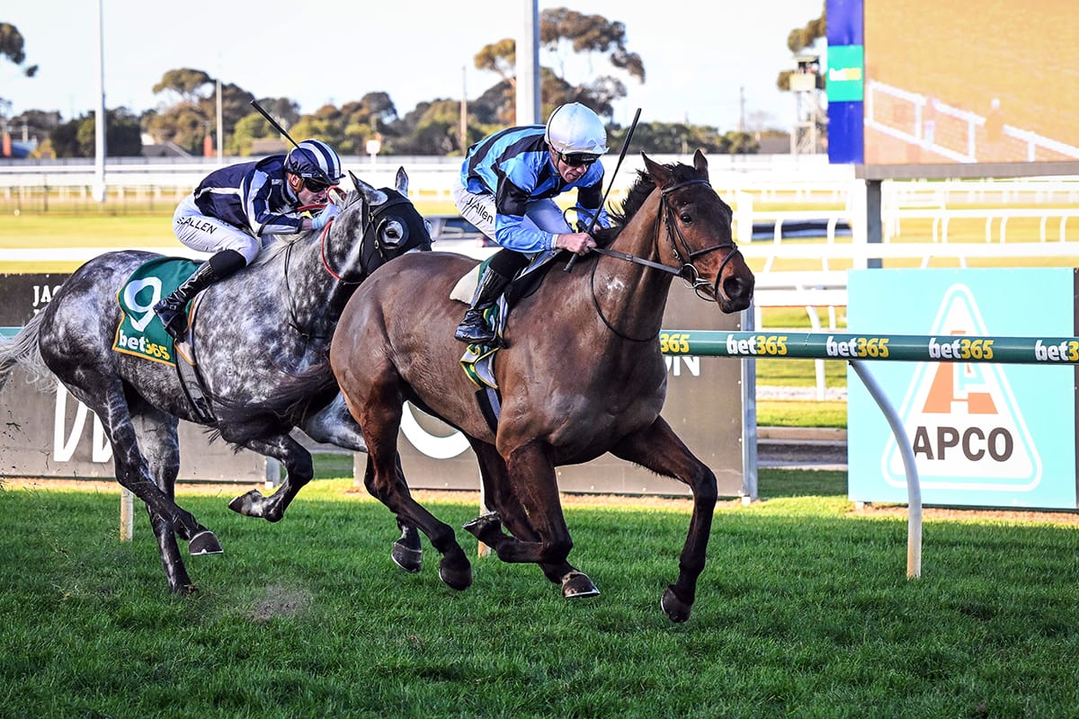 Romans are ready to fire in Adelaide