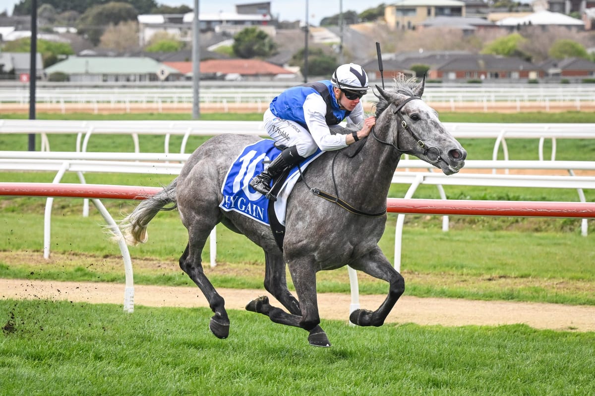 Roca and Prebble to take on HQ